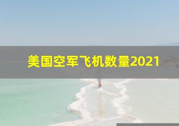 美国空军飞机数量2021