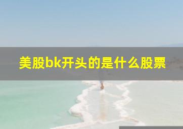 美股bk开头的是什么股票