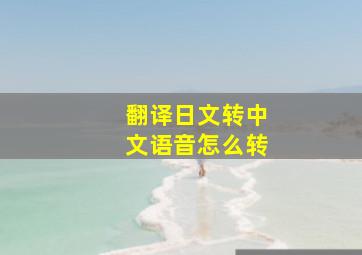 翻译日文转中文语音怎么转