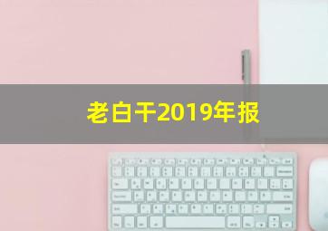 老白干2019年报