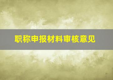 职称申报材料审核意见