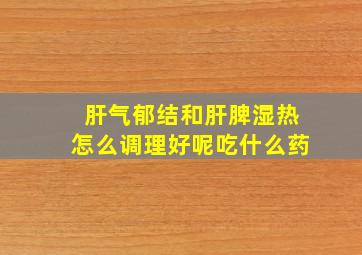 肝气郁结和肝脾湿热怎么调理好呢吃什么药