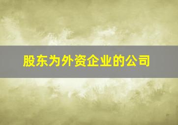 股东为外资企业的公司