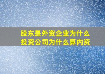 股东是外资企业为什么投资公司为什么算内资