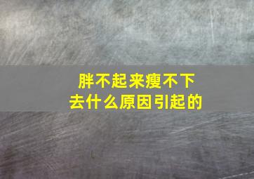 胖不起来瘦不下去什么原因引起的