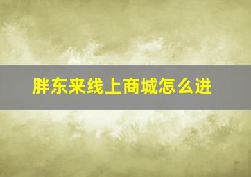 胖东来线上商城怎么进