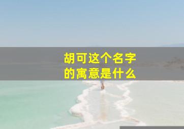 胡可这个名字的寓意是什么