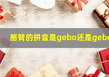 胳臂的拼音是gebo还是gebei