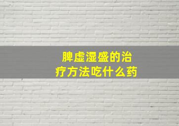 脾虚湿盛的治疗方法吃什么药