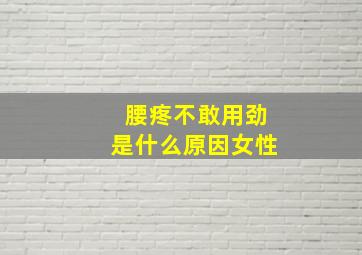 腰疼不敢用劲是什么原因女性