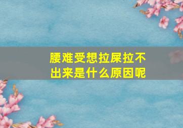 腰难受想拉屎拉不出来是什么原因呢