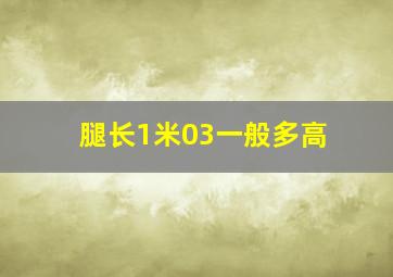 腿长1米03一般多高