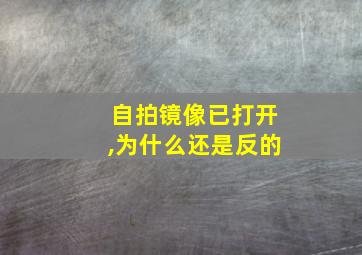 自拍镜像已打开,为什么还是反的