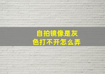 自拍镜像是灰色打不开怎么弄