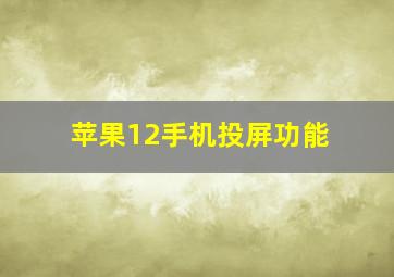 苹果12手机投屏功能