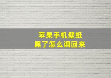 苹果手机壁纸黑了怎么调回来