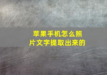 苹果手机怎么照片文字提取出来的