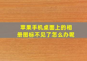 苹果手机桌面上的相册图标不见了怎么办呢