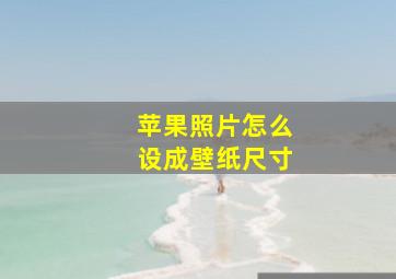 苹果照片怎么设成壁纸尺寸