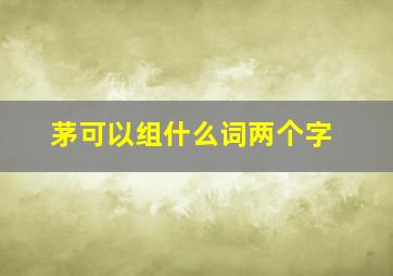 茅可以组什么词两个字