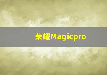 荣耀Magicpro