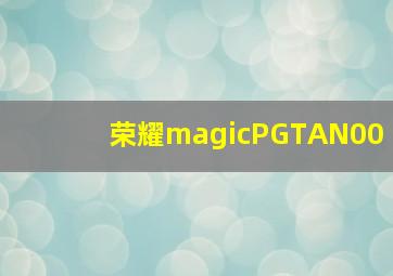 荣耀magicPGTAN00