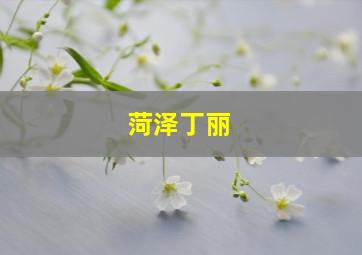 菏泽丁丽