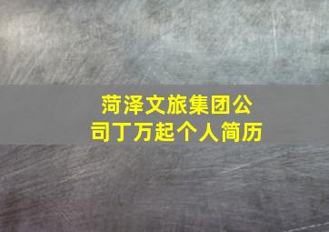 菏泽文旅集团公司丁万起个人简历