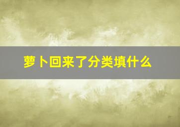 萝卜回来了分类填什么