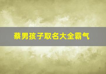 蔡男孩子取名大全霸气