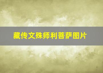 藏传文殊师利菩萨图片