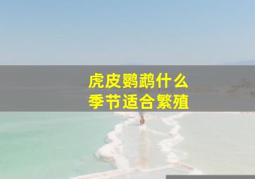 虎皮鹦鹉什么季节适合繁殖