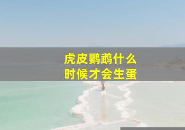 虎皮鹦鹉什么时候才会生蛋