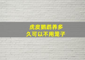 虎皮鹦鹉养多久可以不用笼子