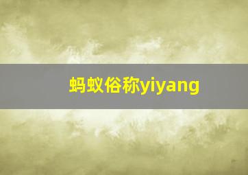 蚂蚁俗称yiyang