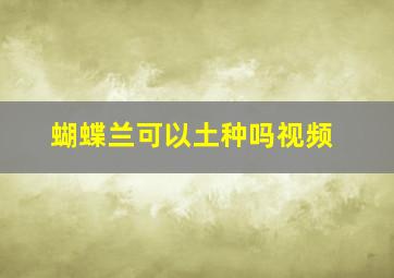 蝴蝶兰可以土种吗视频