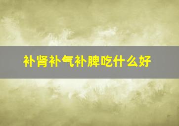 补肾补气补脾吃什么好