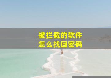 被拦截的软件怎么找回密码