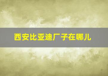 西安比亚迪厂子在哪儿