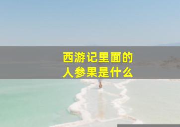 西游记里面的人参果是什么