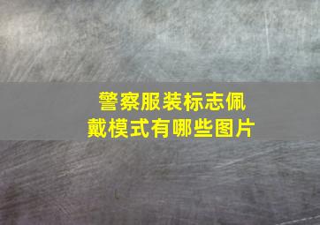 警察服装标志佩戴模式有哪些图片