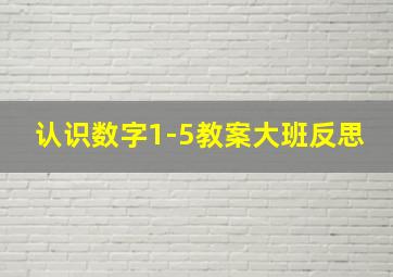 认识数字1-5教案大班反思