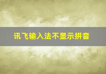 讯飞输入法不显示拼音