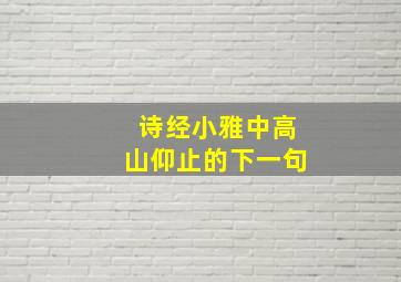 诗经小雅中高山仰止的下一句