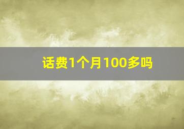 话费1个月100多吗