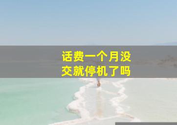 话费一个月没交就停机了吗