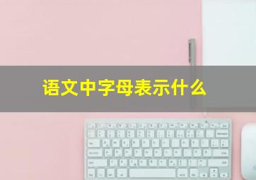 语文中字母表示什么