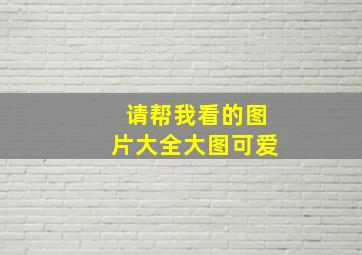 请帮我看的图片大全大图可爱