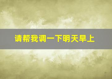 请帮我调一下明天早上