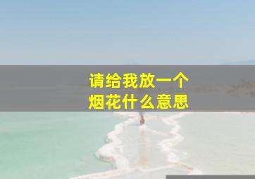 请给我放一个烟花什么意思